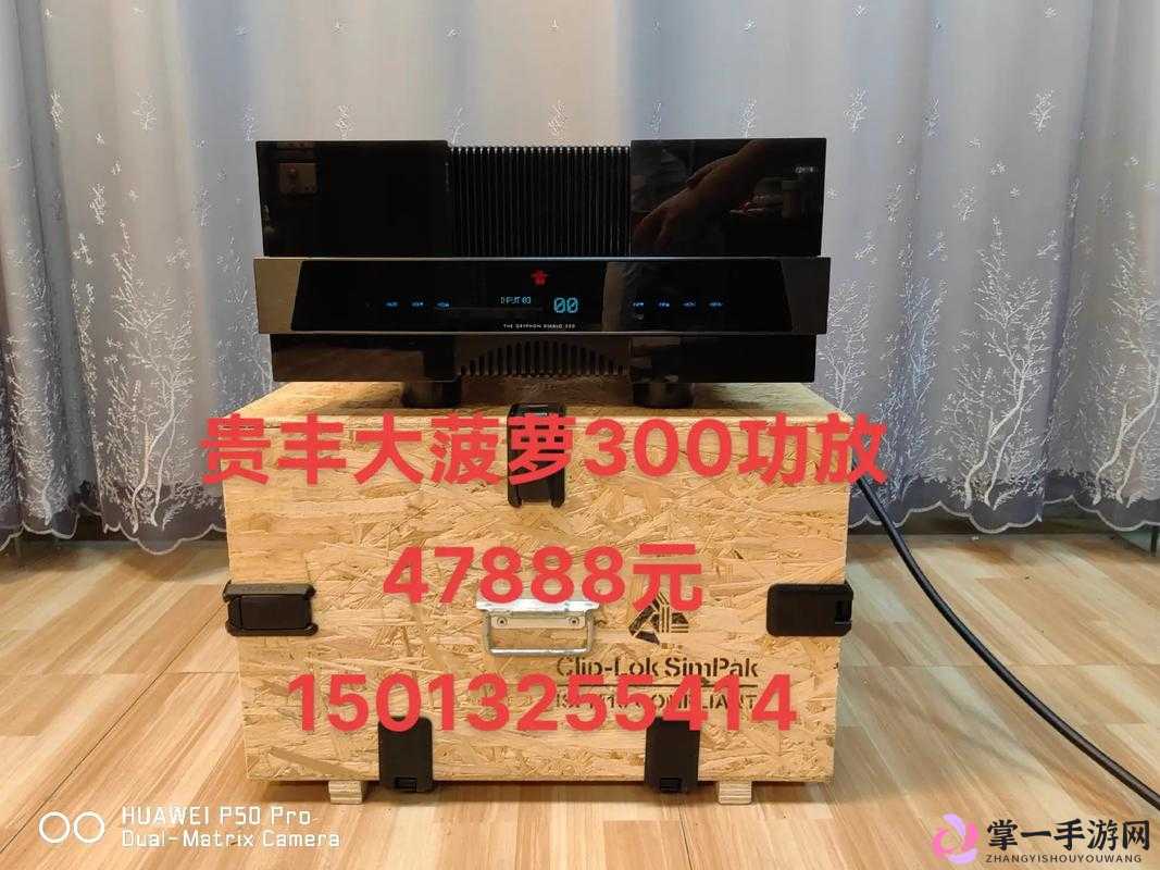 贵丰大菠萝 333：一款独具特色的电子产品介绍